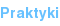 Praktyki